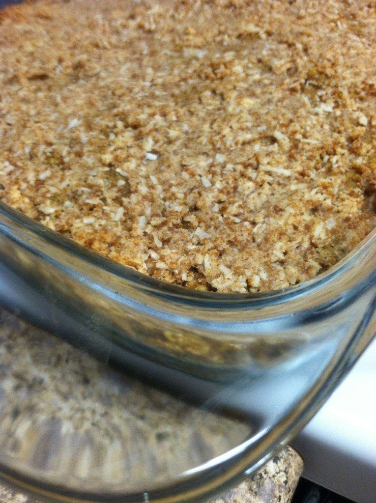 pumpkin breakfast squares with oats