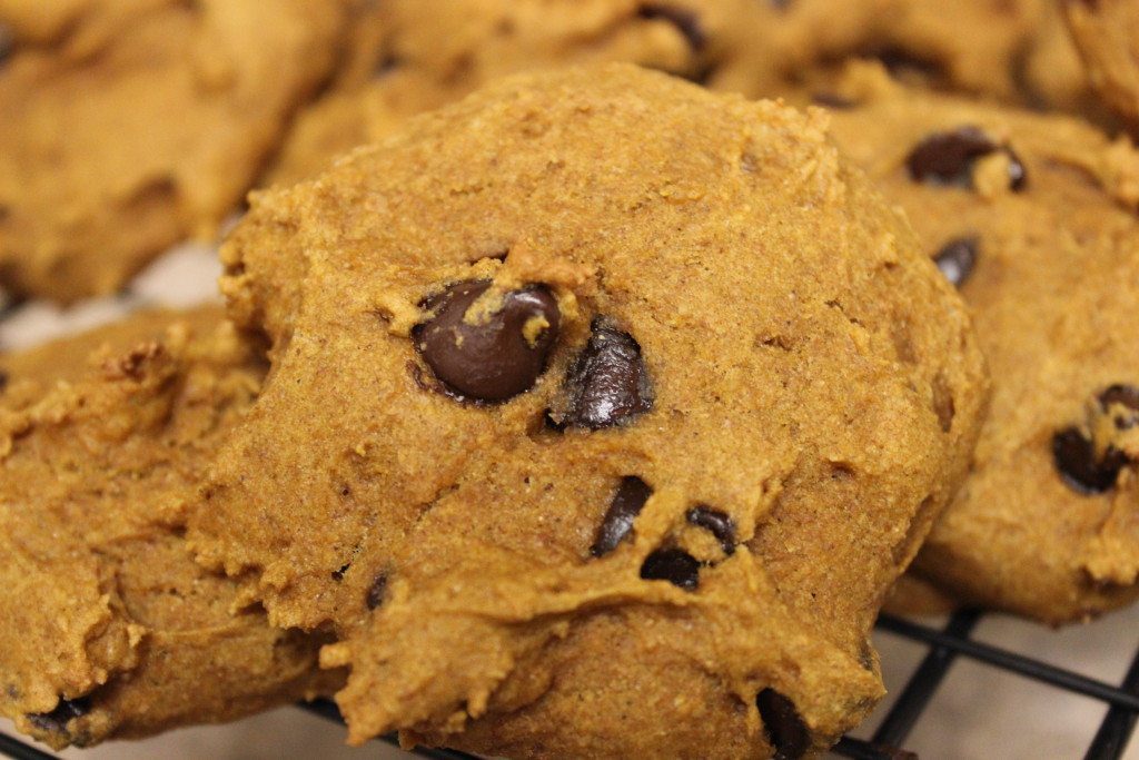 pumpkin chocolate chip cookies (vegan and GF)