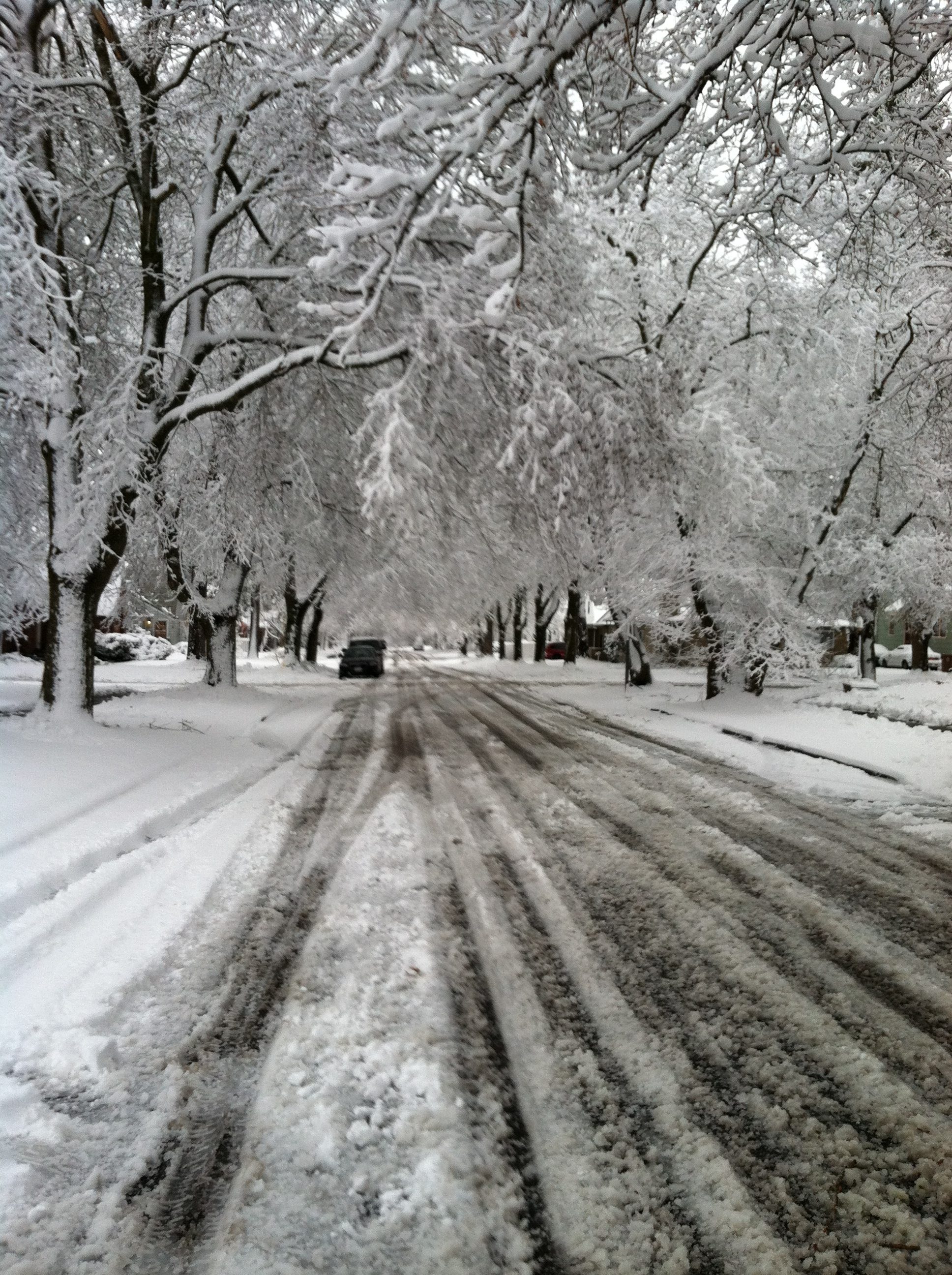 cannon hill area spokane snow