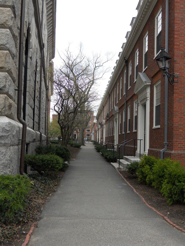 harvard campus straight