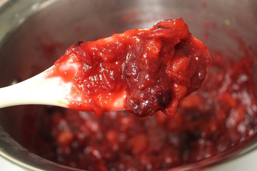 spoonful of cranberry sauce