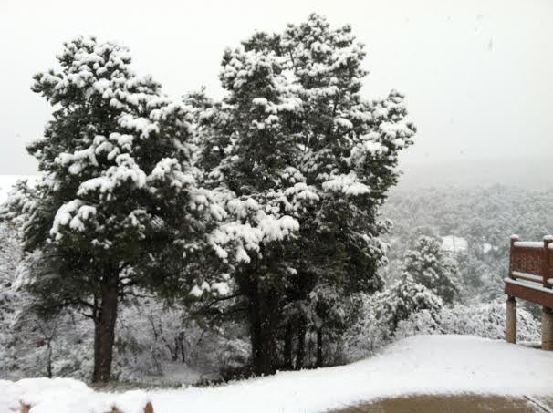 snow in zion