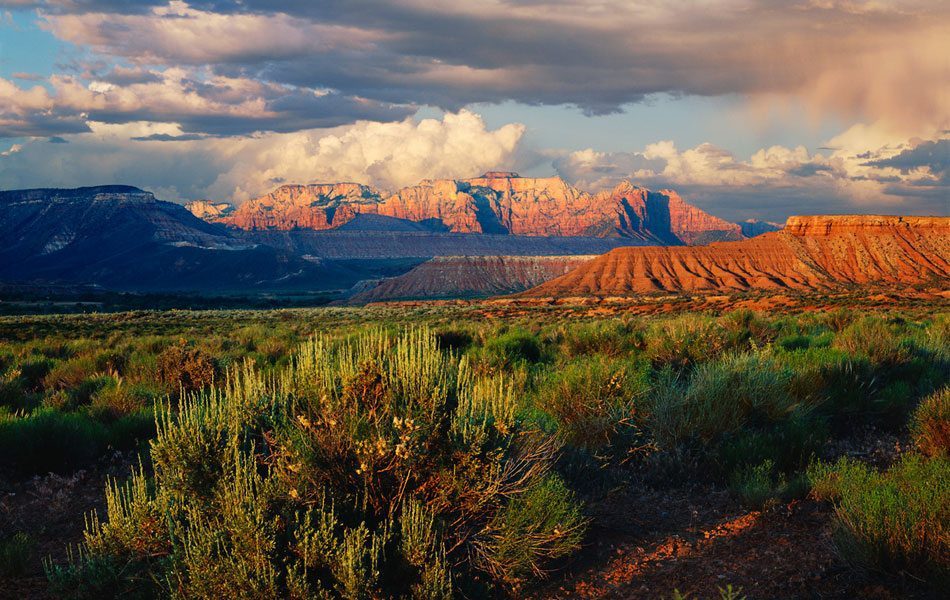 zion_national_park