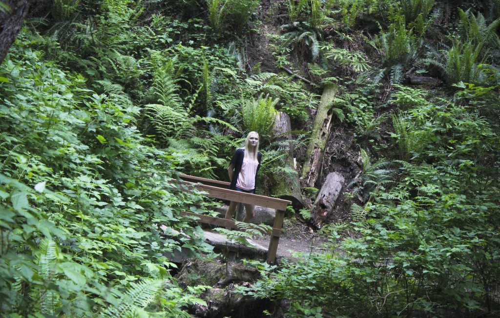 Forrest Park Trail Bry3