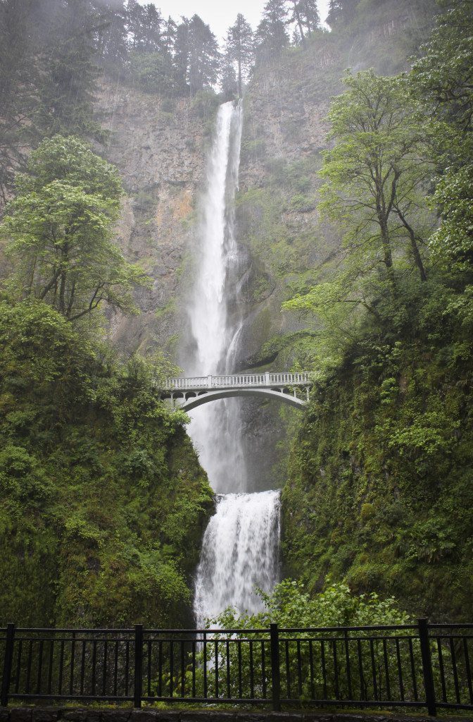 Multnomah Falls5