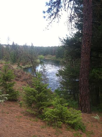 calm river