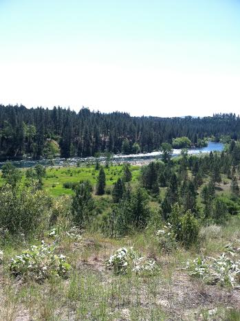 riverside state park spokane river on centennial