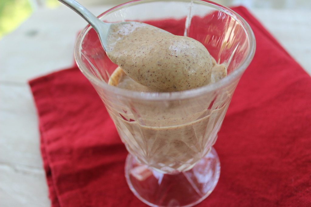 PB Chocolate ice cream