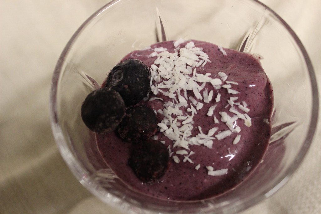 Vegan Blueberry Coconut Ice Cream (1)