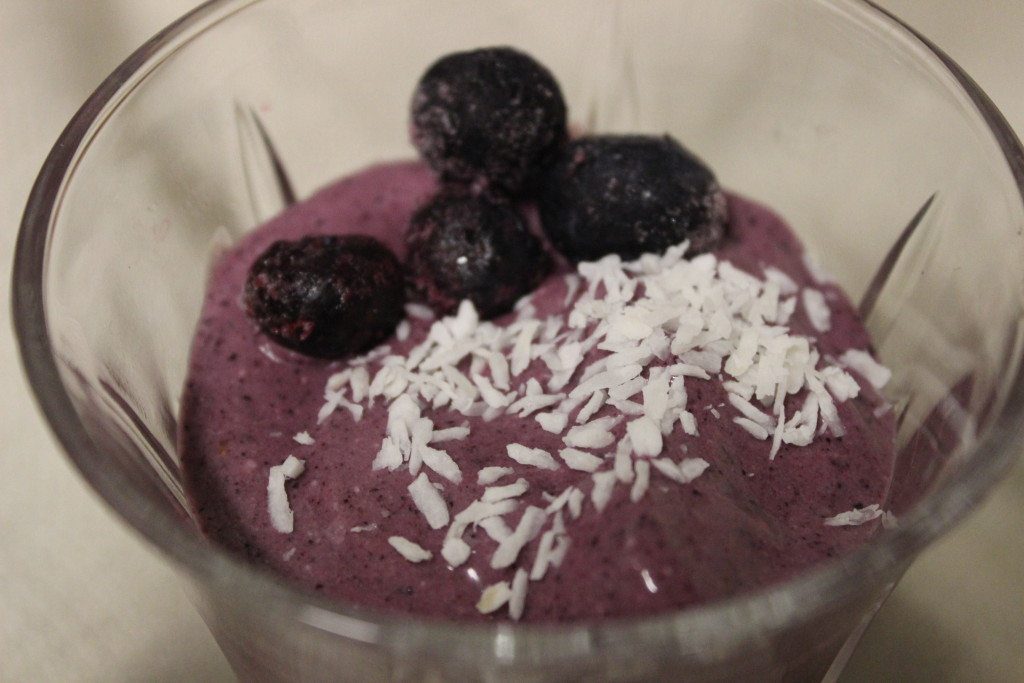 Vegan Blueberry Coconut Ice Cream (2)