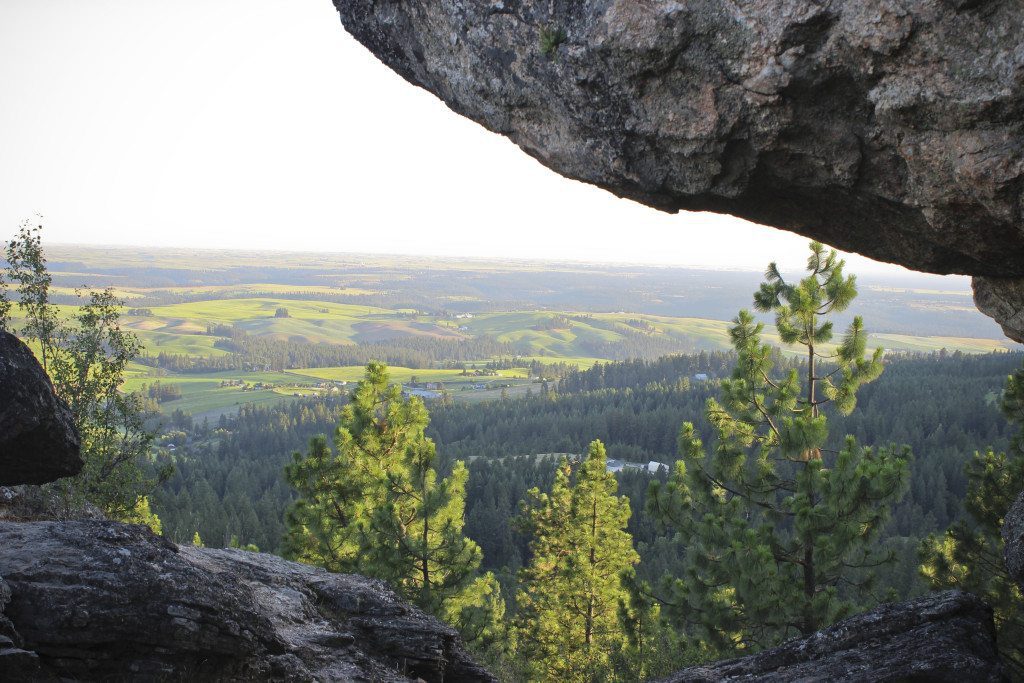 View10