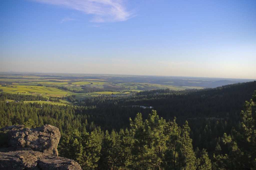 View4