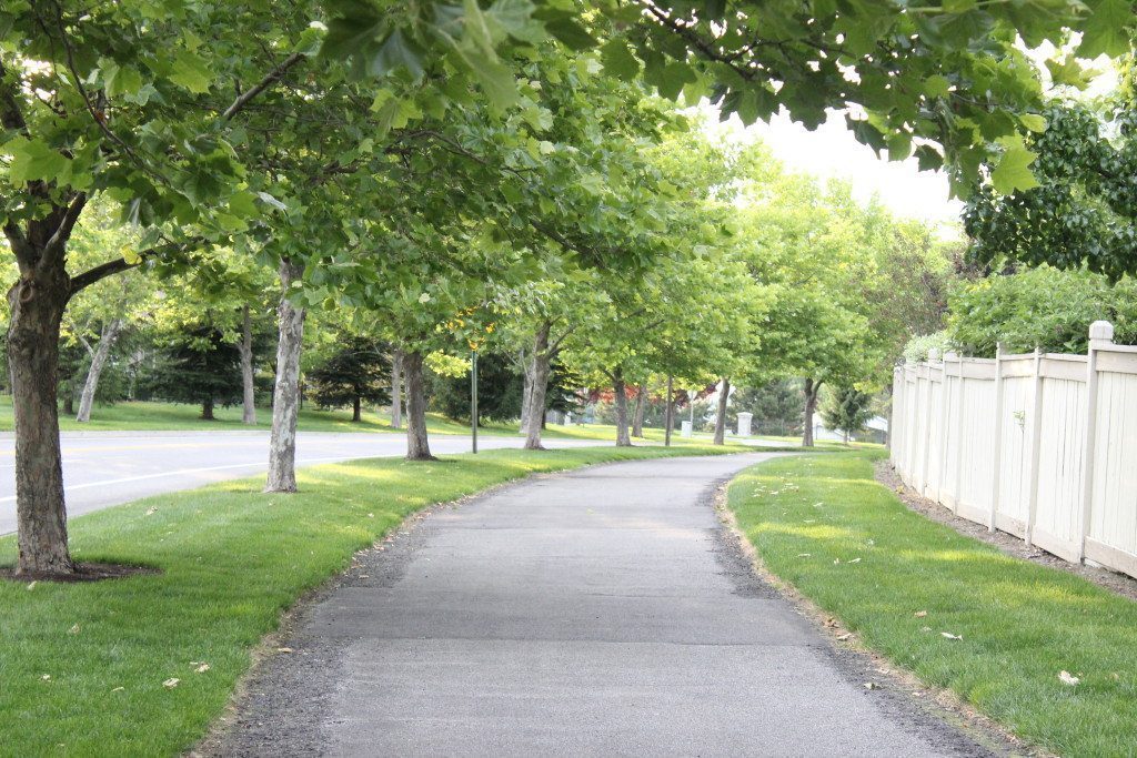 trail view