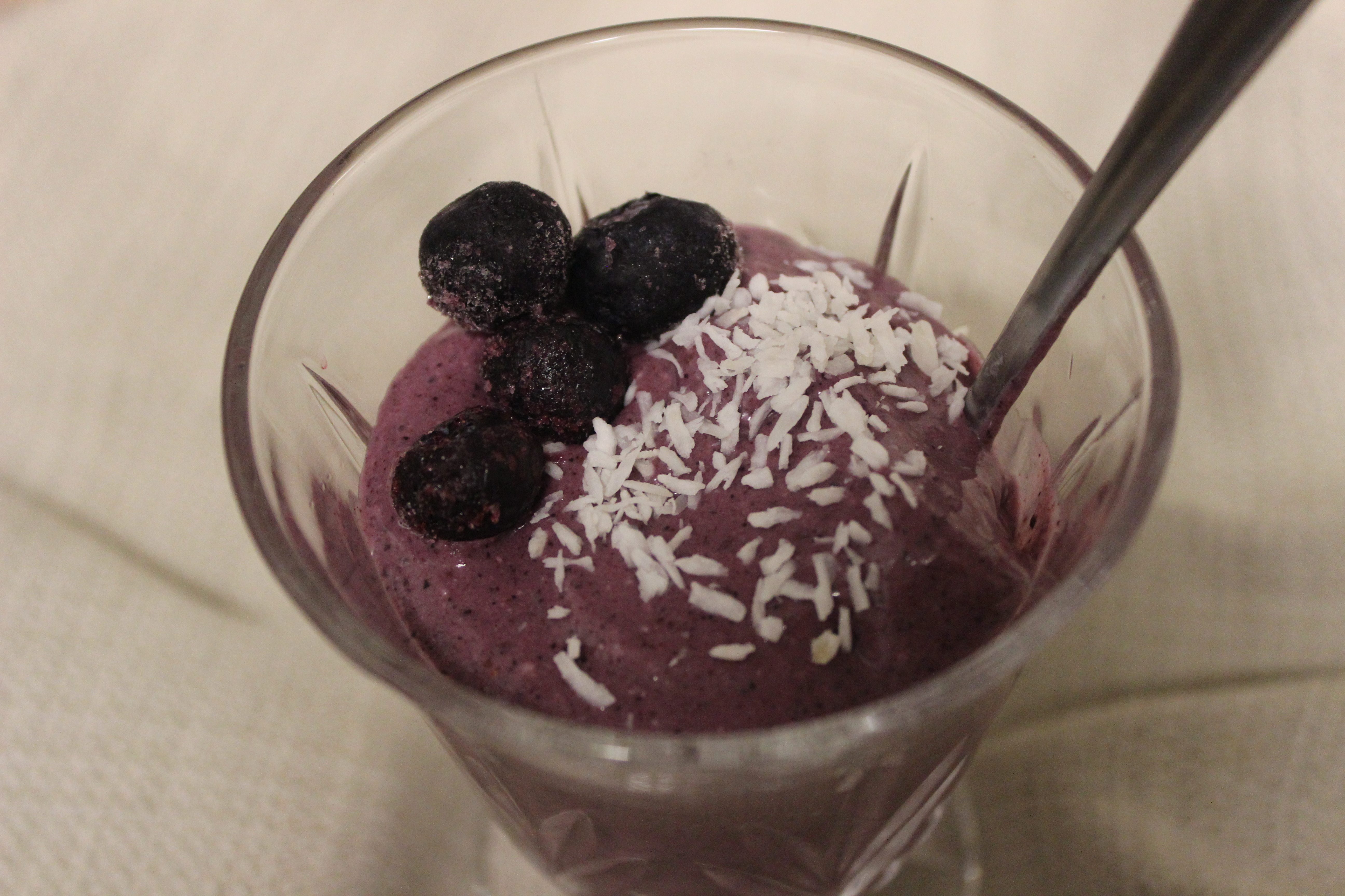 vegan coconut blueberry