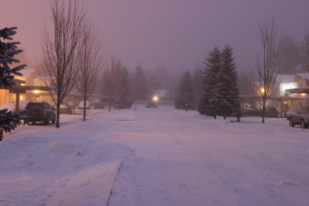 snowy morning ru n