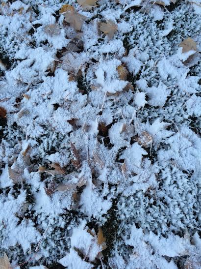 first snow 10th