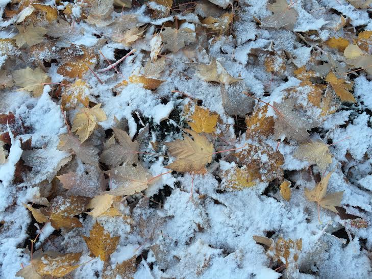 our first snow 10th