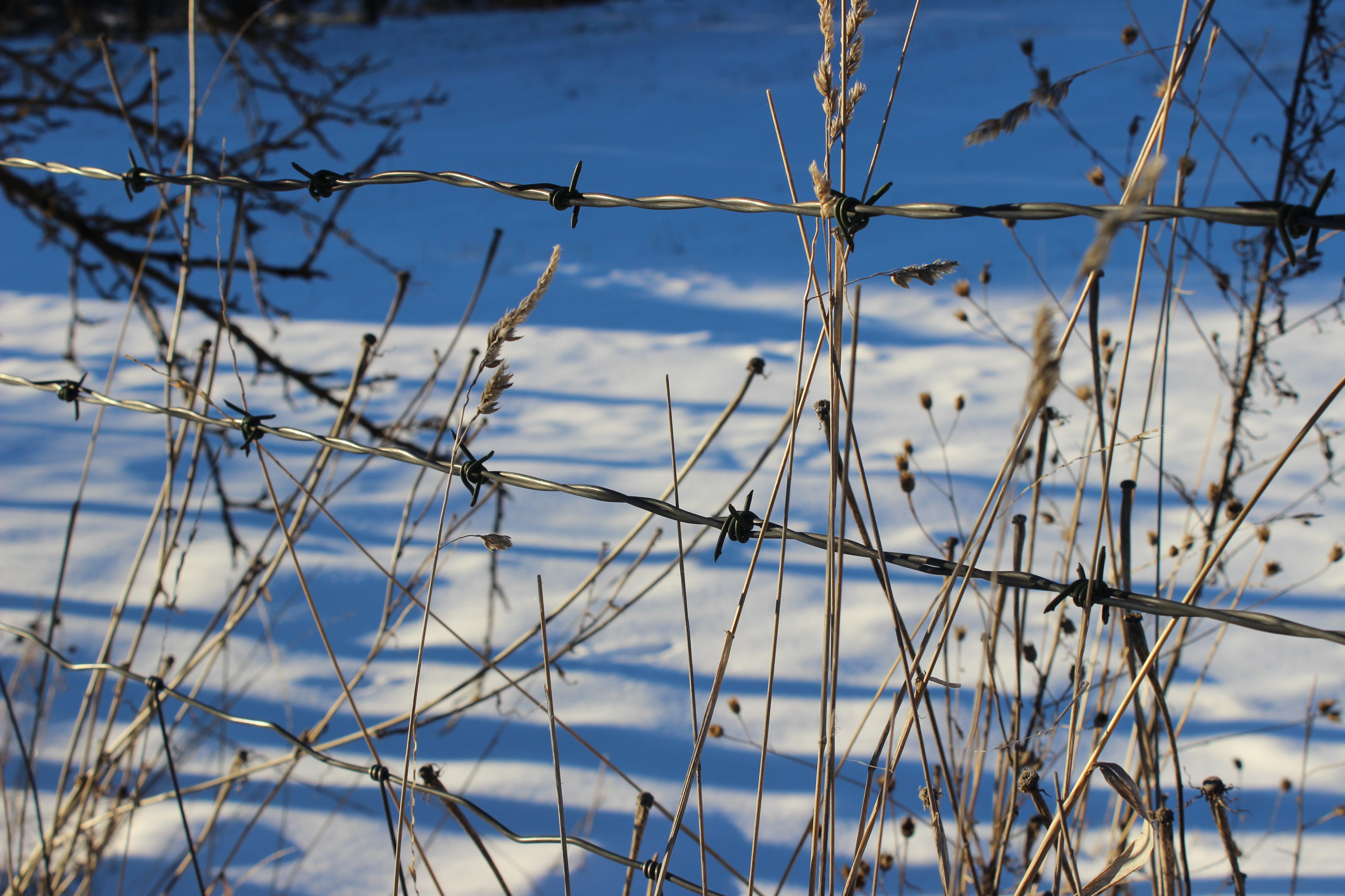 snow and barb wire
