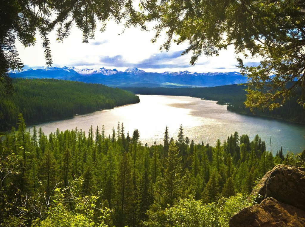 sunny view of holland lake
