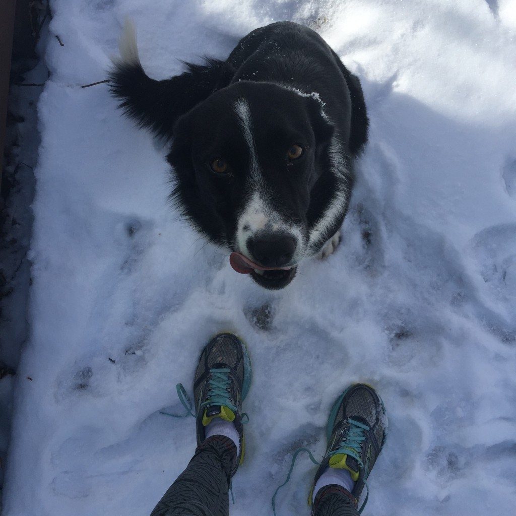 Fancy my running partner