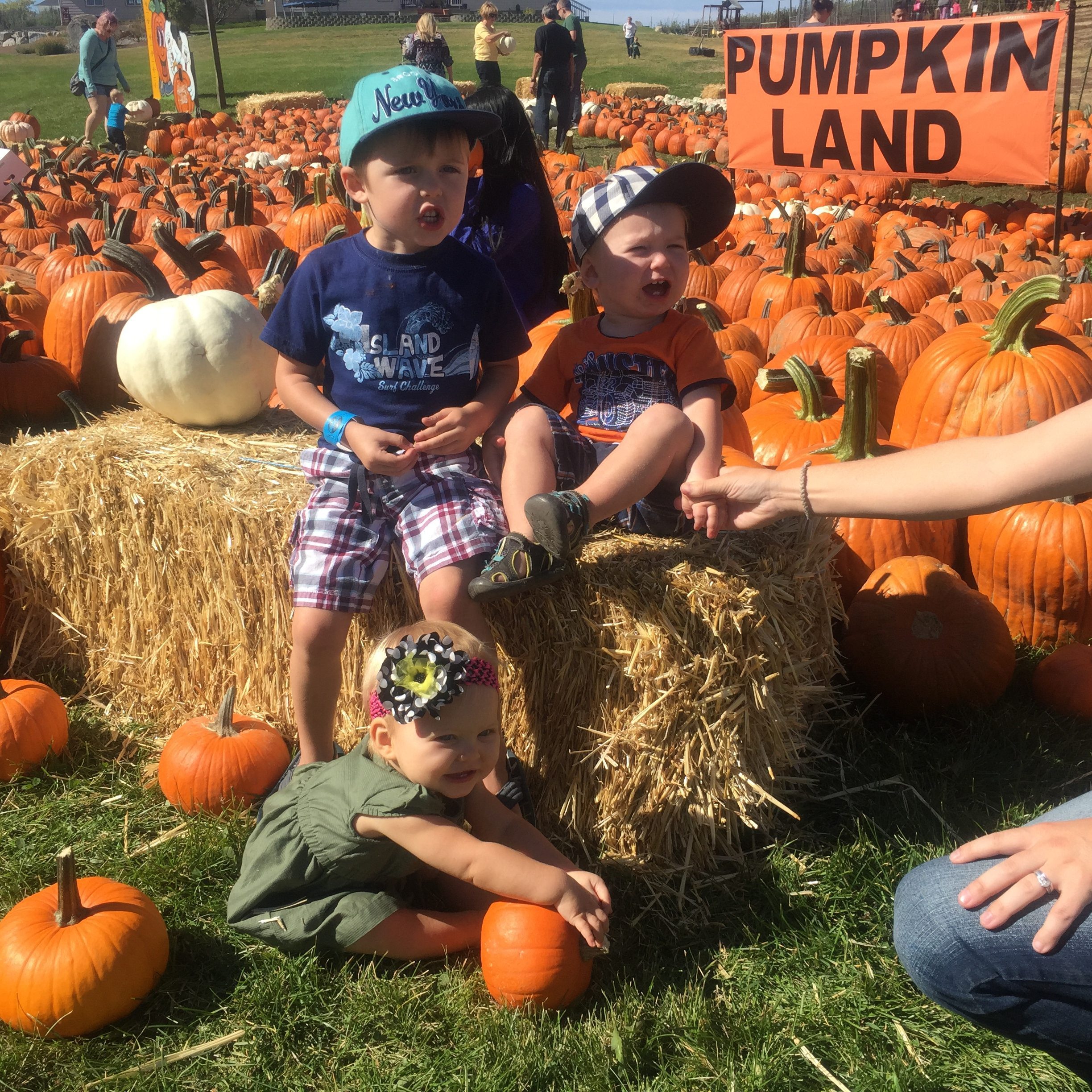 19th Gabe, Micah & Reagan pumpkin patch