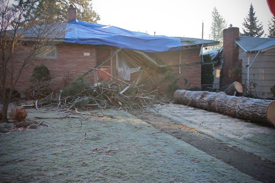 roof caved in