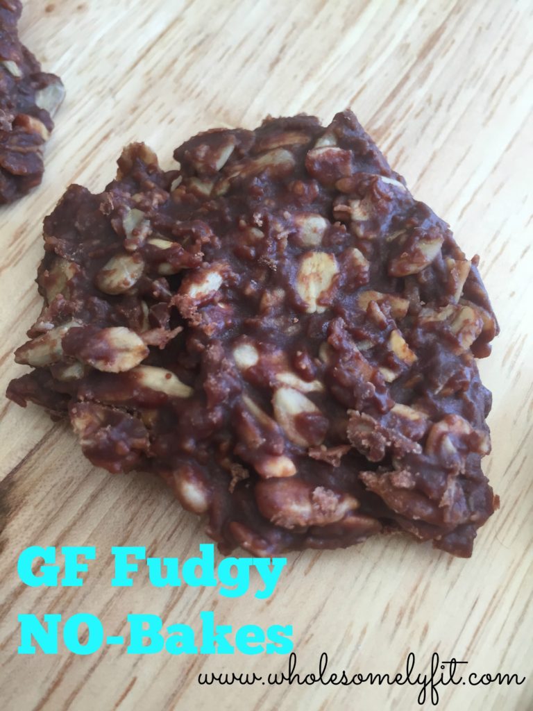 gf-fudgy-no-bakes